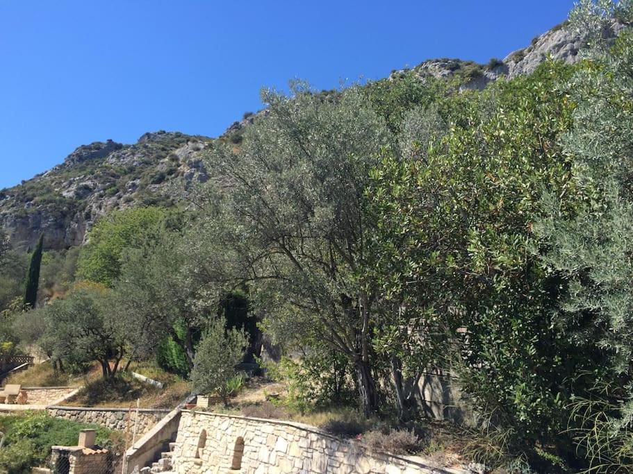 Appartement Sur La Colline Avec Acces Piscine Volx Buitenkant foto