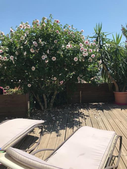 Appartement Sur La Colline Avec Acces Piscine Volx Buitenkant foto